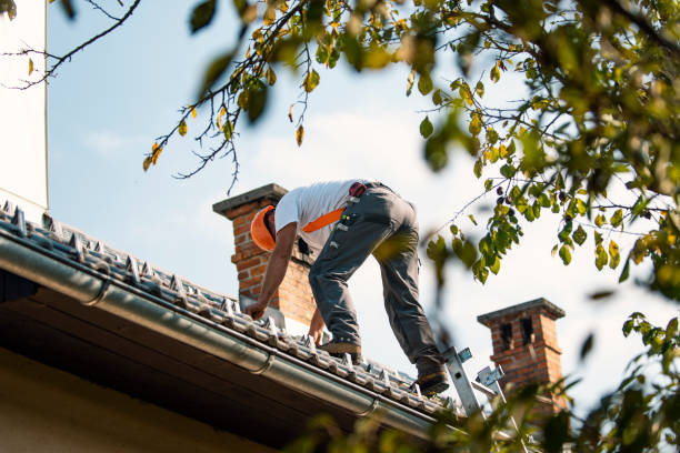 Best Roof Gutter Cleaning  in Glenwood, IL