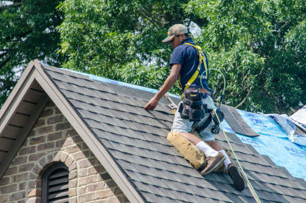 Best Roof Maintenance Services  in Glenwood, IL